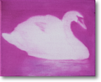 "Schwan", Öl auf Leinwand, 24x30 cm